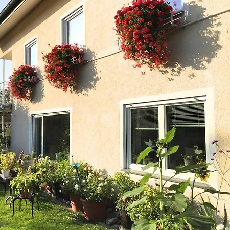 Haus Gies Apartment *